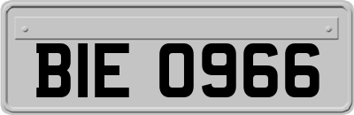 BIE0966