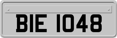 BIE1048