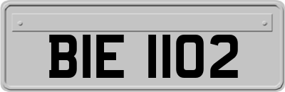 BIE1102