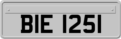 BIE1251
