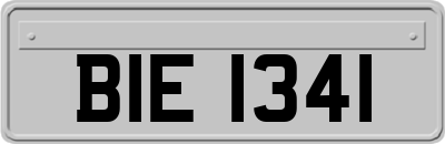 BIE1341