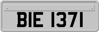 BIE1371