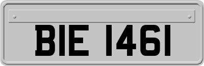BIE1461