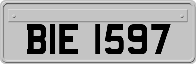 BIE1597