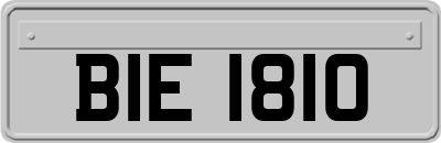BIE1810