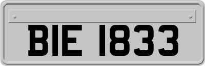 BIE1833
