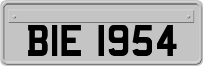 BIE1954
