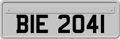 BIE2041