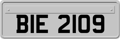 BIE2109