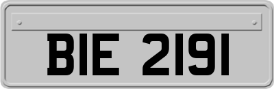 BIE2191