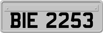 BIE2253