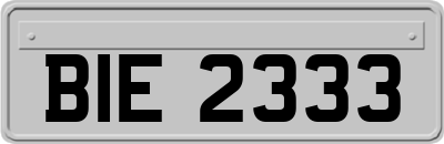 BIE2333