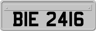 BIE2416