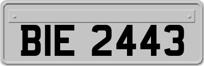 BIE2443