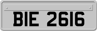 BIE2616
