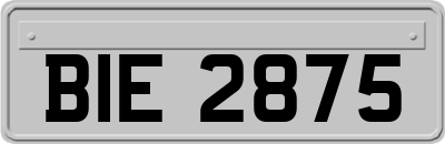BIE2875