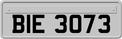 BIE3073