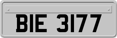 BIE3177