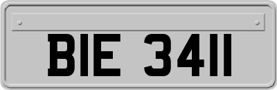 BIE3411
