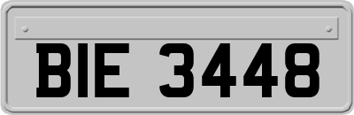 BIE3448