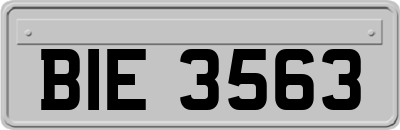 BIE3563