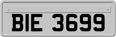 BIE3699