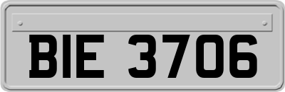 BIE3706