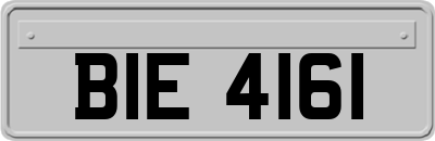 BIE4161