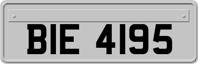 BIE4195