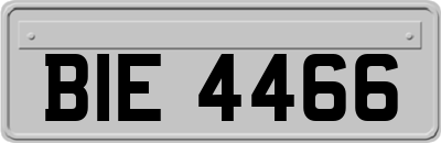 BIE4466