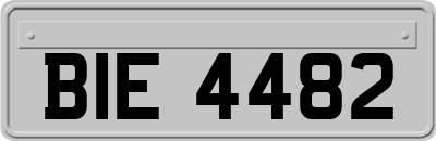 BIE4482