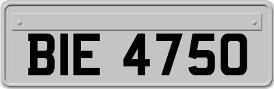 BIE4750