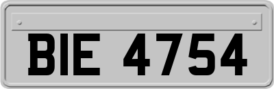 BIE4754