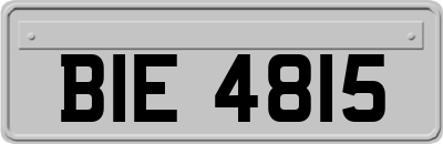 BIE4815