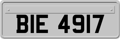 BIE4917