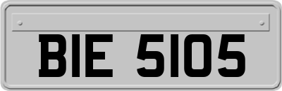 BIE5105