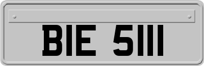 BIE5111