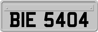 BIE5404