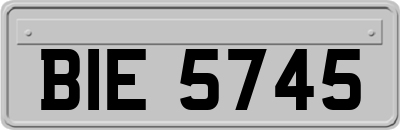 BIE5745