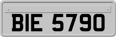 BIE5790