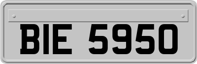 BIE5950