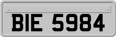 BIE5984