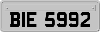 BIE5992