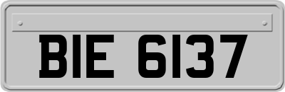 BIE6137