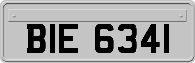 BIE6341