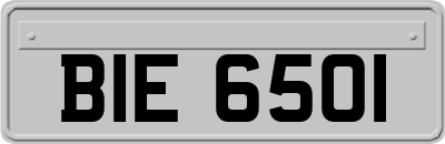 BIE6501