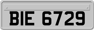 BIE6729