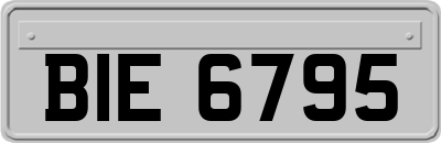 BIE6795