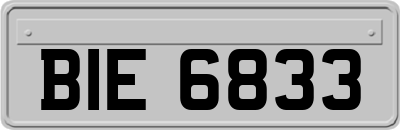 BIE6833