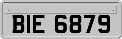 BIE6879